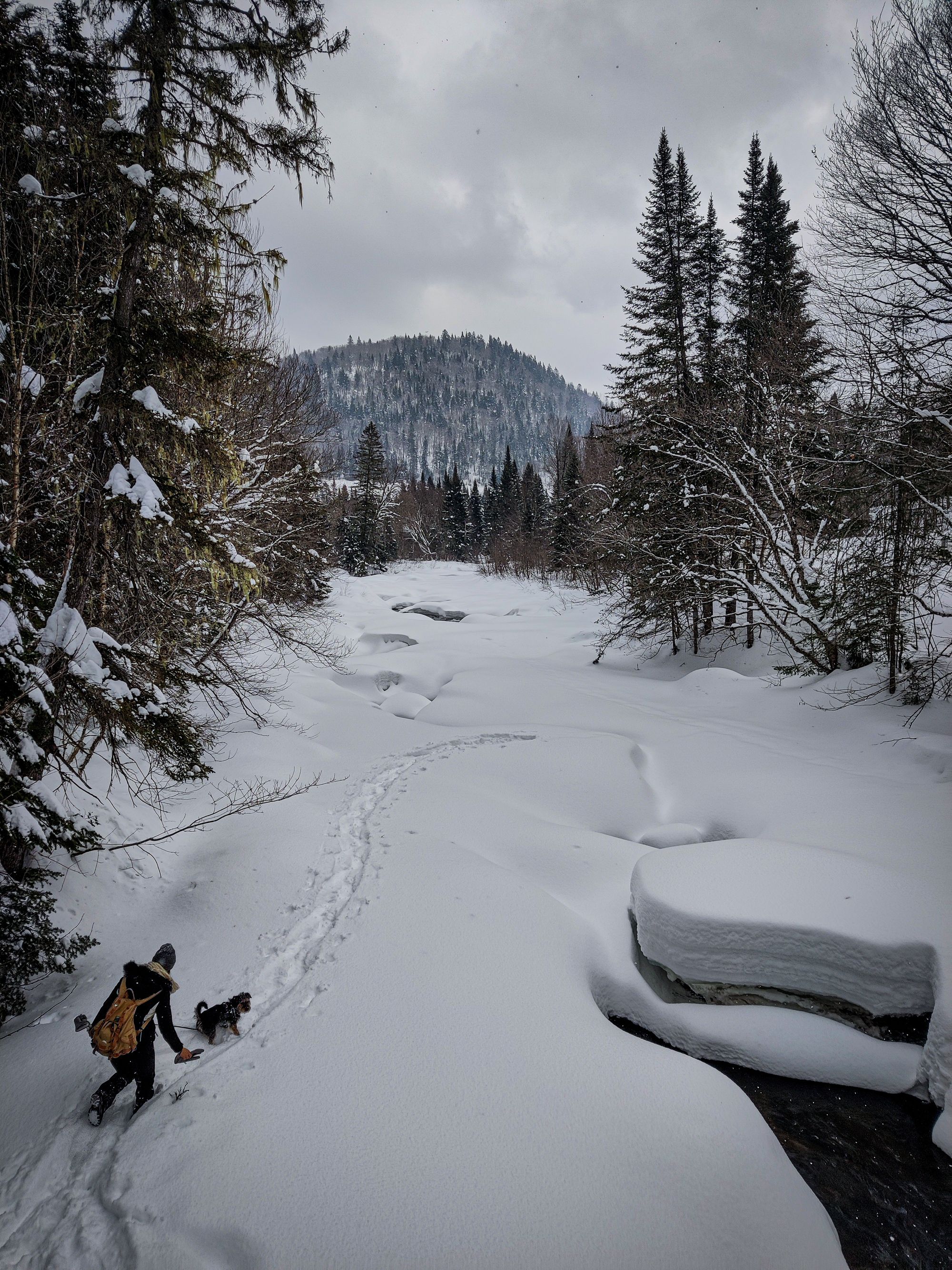 La magie de l'hiver canadien