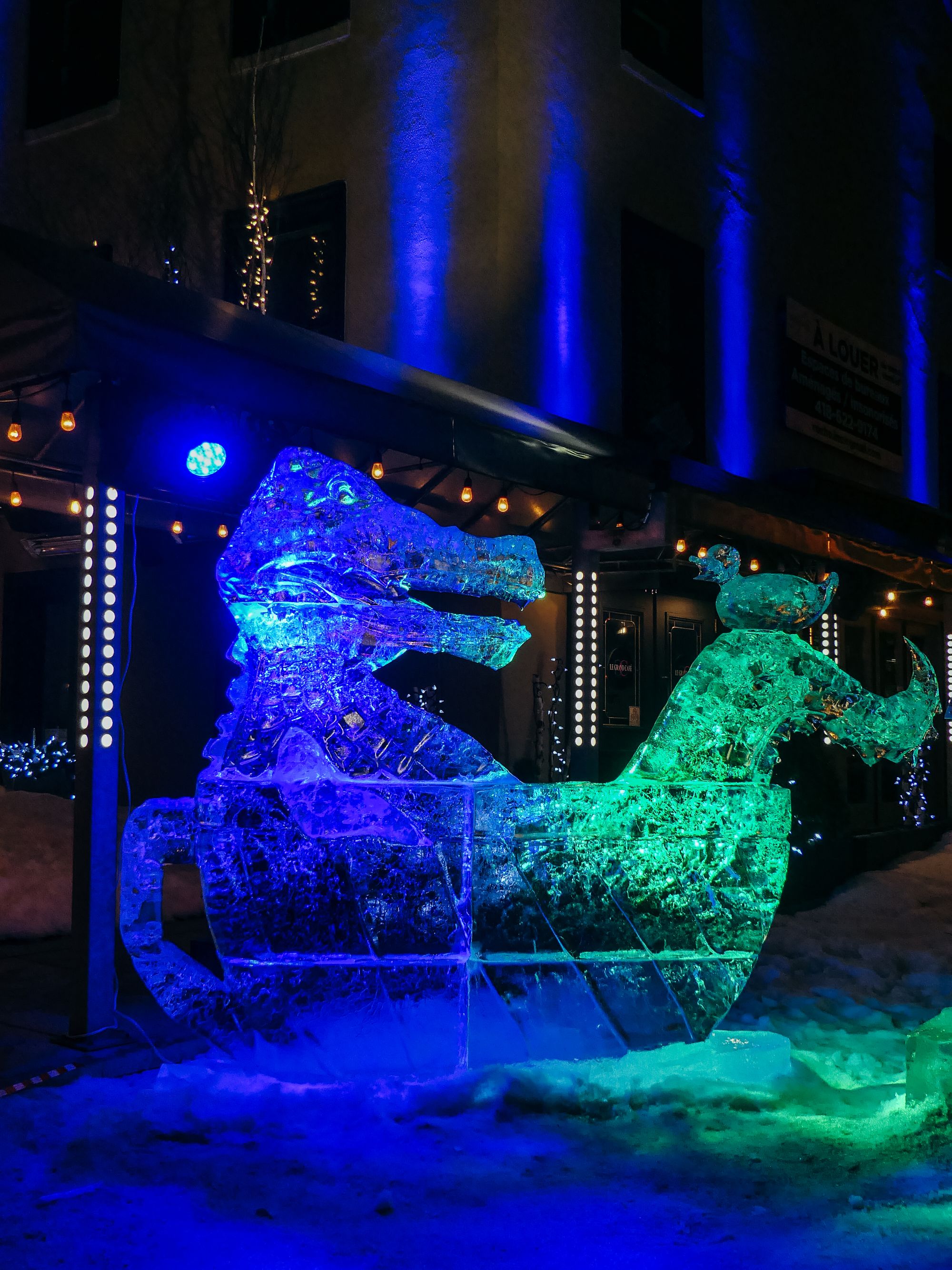 La magie de l'hiver canadien