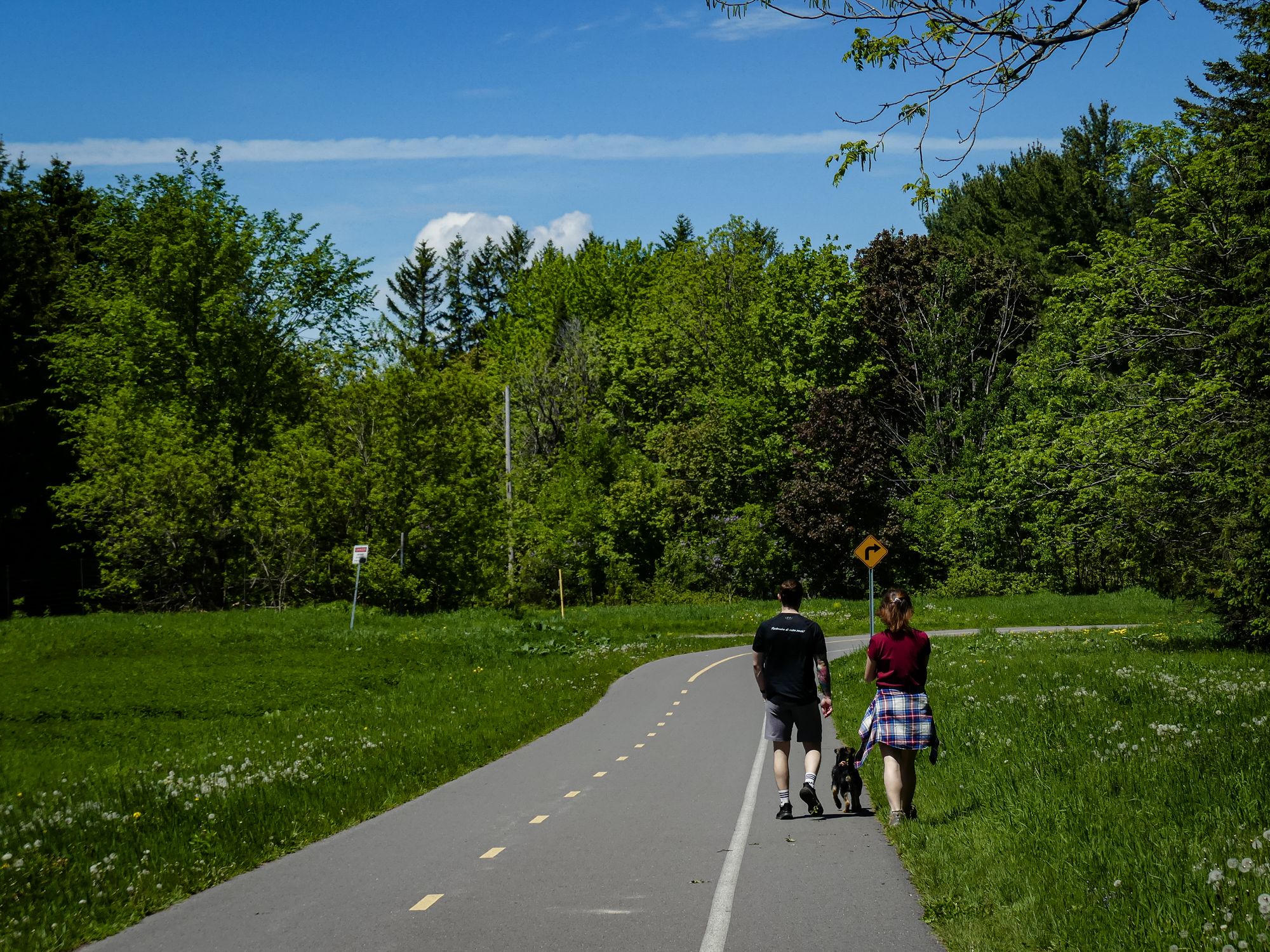 Les 9 temps forts de notre été