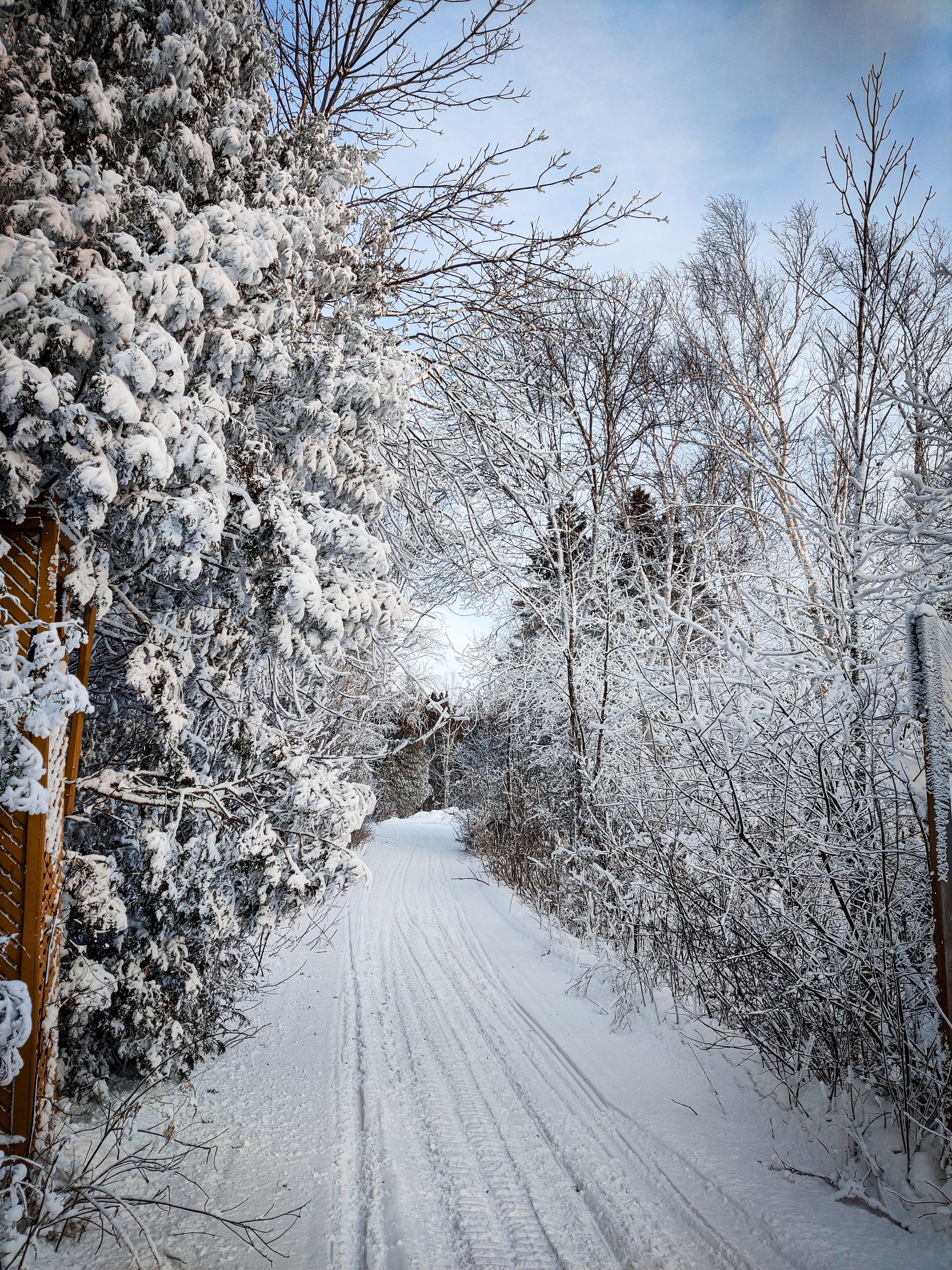 Deux hivers déjà !